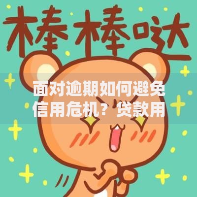 面对逾期如何避免信用危机？贷款用户必知解决方案