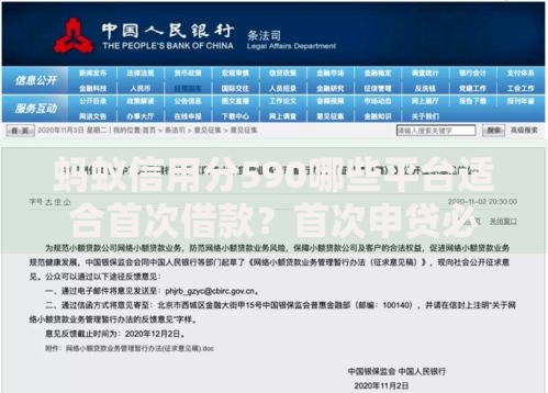 蚂蚁信用分590哪些平台适合首次借款？首次申贷必看指南