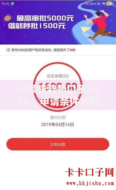 小额贷款新口子2000：申请条件与利息详解
