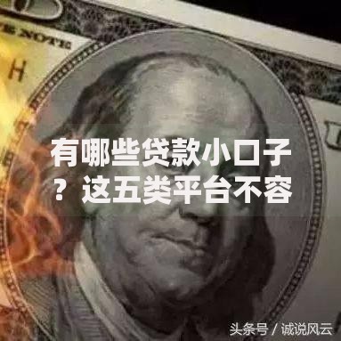 有哪些贷款小口子？这五类平台不容错过