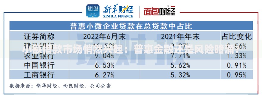 小额借款市场悄然兴起：普惠金融还是风险暗涌？