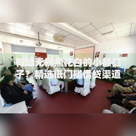 有啥无视黑花白的小额口子？精选低门槛借贷渠道解析