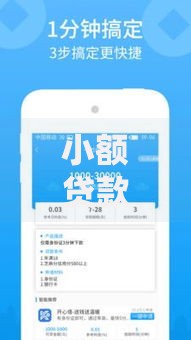 小额贷款3万必下口子：哪些渠道审核快通过率高