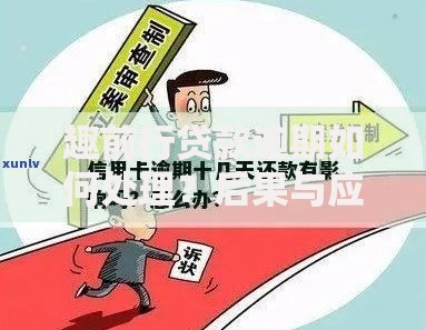 趣前行贷款逾期如何处理？后果与应对策略解析