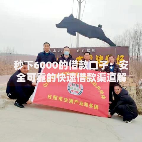 秒下6000的借款口子：安全可靠的快速借款渠道解析