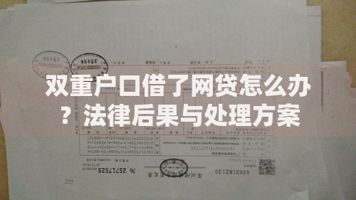 双重户口借了网贷怎么办？法律后果与处理方案