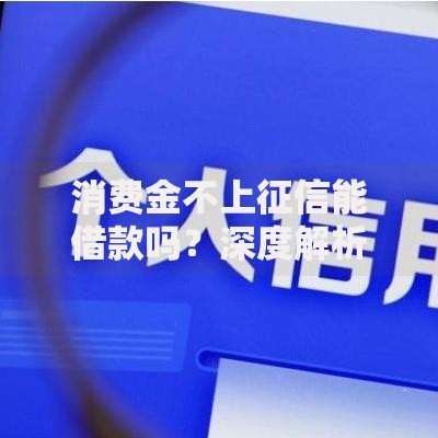 消费金不上征信能借款吗？深度解析无征信贷款途径与风险