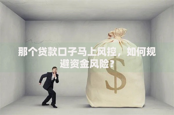 那个贷款口子马上风控，如何规避资金风险？