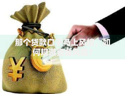 那个贷款口子马上风控，如何规避资金风险？
