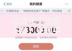 征信花了也能下款?正规平台低息贷款申请攻略 征信花了也能下款?正规平台低息贷款申请攻略
