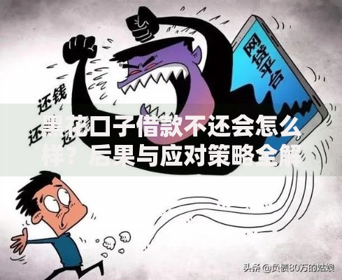 黑花口子借款不还会怎么样？后果与应对策略全解析