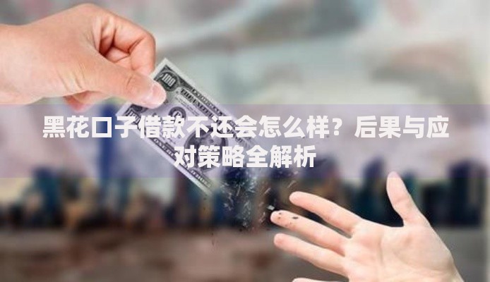 黑花口子借款不还会怎么样？后果与应对策略全解析
