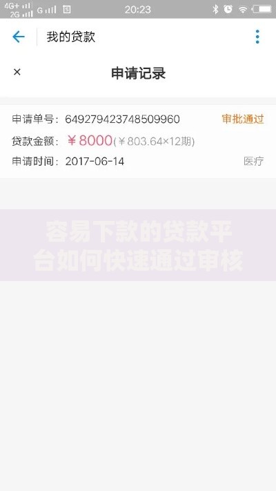 容易下款的贷款平台如何快速通过审核
