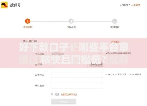 好下款口子：哪些平台审核快且门槛低？