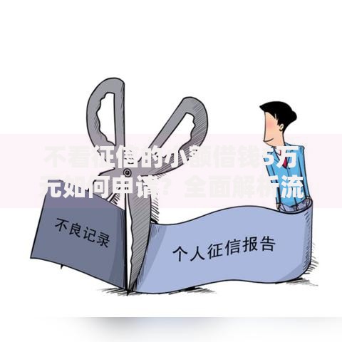 不看征信的小额借钱5万元如何申请？全面解析流程与风险