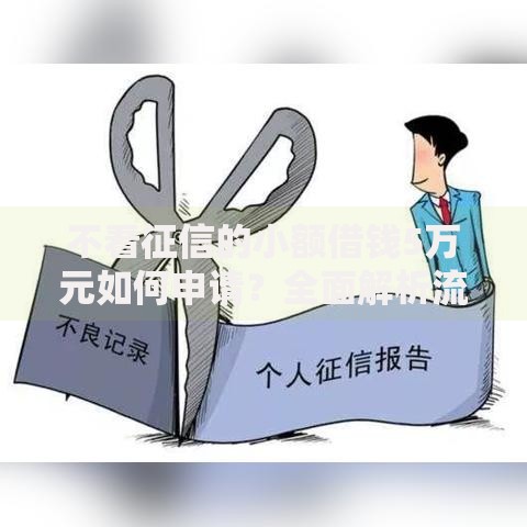 不看征信的小额借钱5万元如何申请？全面解析流程与风险