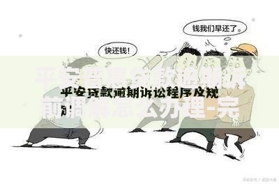 平安普惠贷款逾期诉前调解怎么办理-完整流程解析