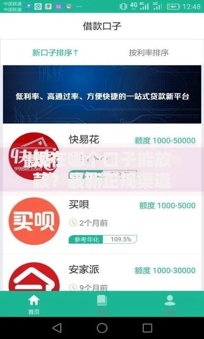 现在哪个口子能放款？最新正规渠道深度解析