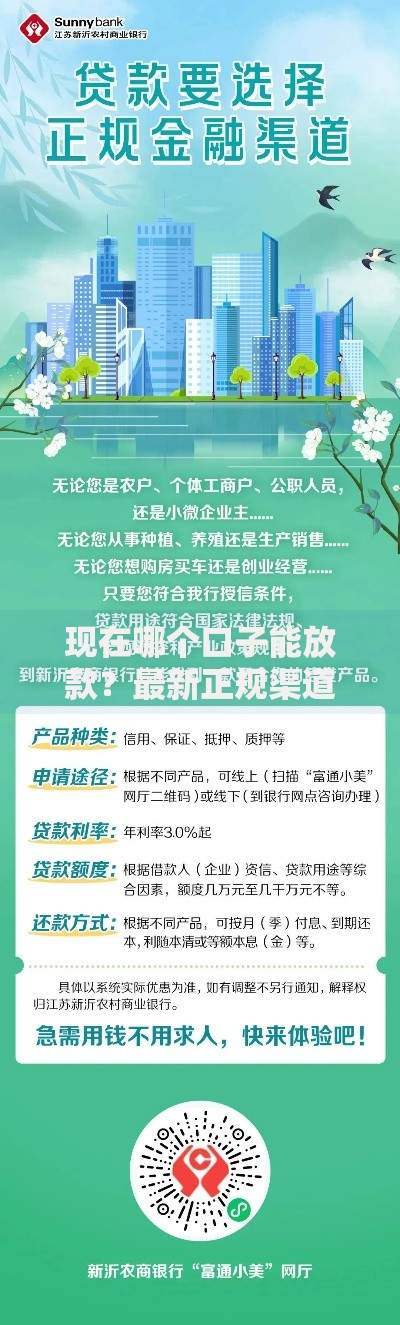 现在哪个口子能放款？最新正规渠道深度解析