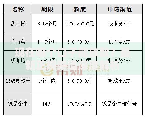 现在哪个口子能放款？最新正规渠道深度解析