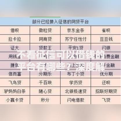 不看征信可以借钱的平台有哪些？深度解析无征信贷款渠道