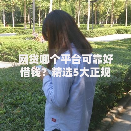 网贷哪个平台可靠好借钱？精选5大正规平台解析
