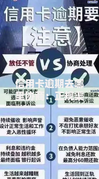 信用卡逾期去哪里协商：正规渠道解析