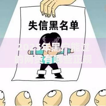 2025年黑户能过的网贷有哪些正规选择？