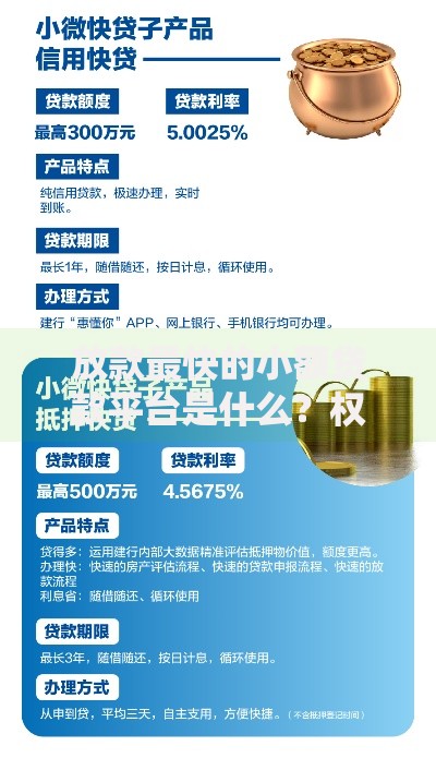 放款最快的小额贷款平台是什么？权威解析