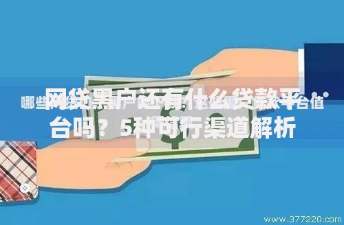 网贷黑户还有什么贷款平台吗？5种可行渠道解析