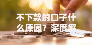 不下款的口子什么原因？深度解析贷款被拒核心问题