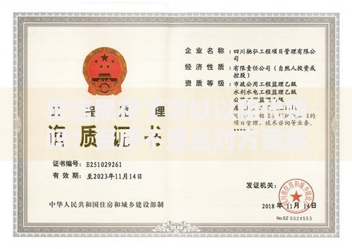 征信黑花了可以以租代购吗？资质不足应对方案解析