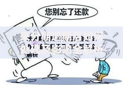 来分期逾期后如何处理及影响全解析