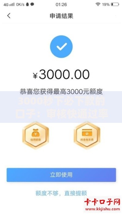 3000秒下必下款的口子：审核快通过率高？真实解析