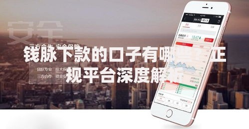 钱脉下款的口子有哪些？正规平台深度解析