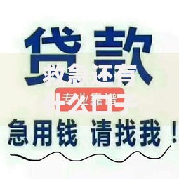 救急还有什么口子下款？最新低息贷款渠道深度解析
