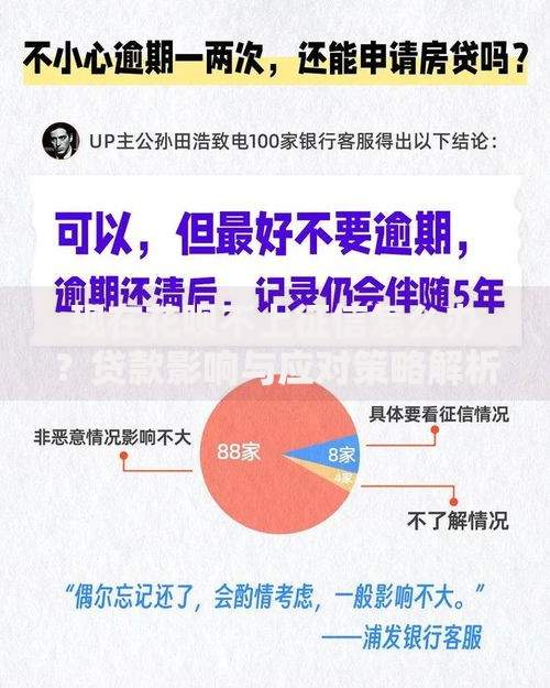现在花呗不上征信怎么办？贷款影响与应对策略解析