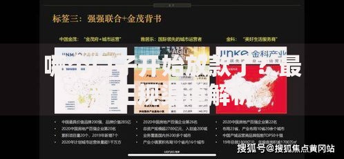 哪个口子开始放款了？最新正规渠道解析