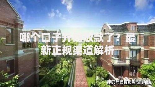 哪个口子开始放款了？最新正规渠道解析