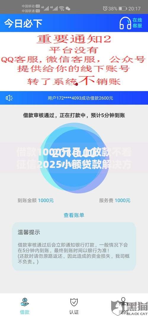 借款1000元马上放款不看征信2025小额贷款解决方案