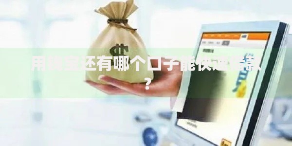 用钱宝还有哪个口子能快速借款？