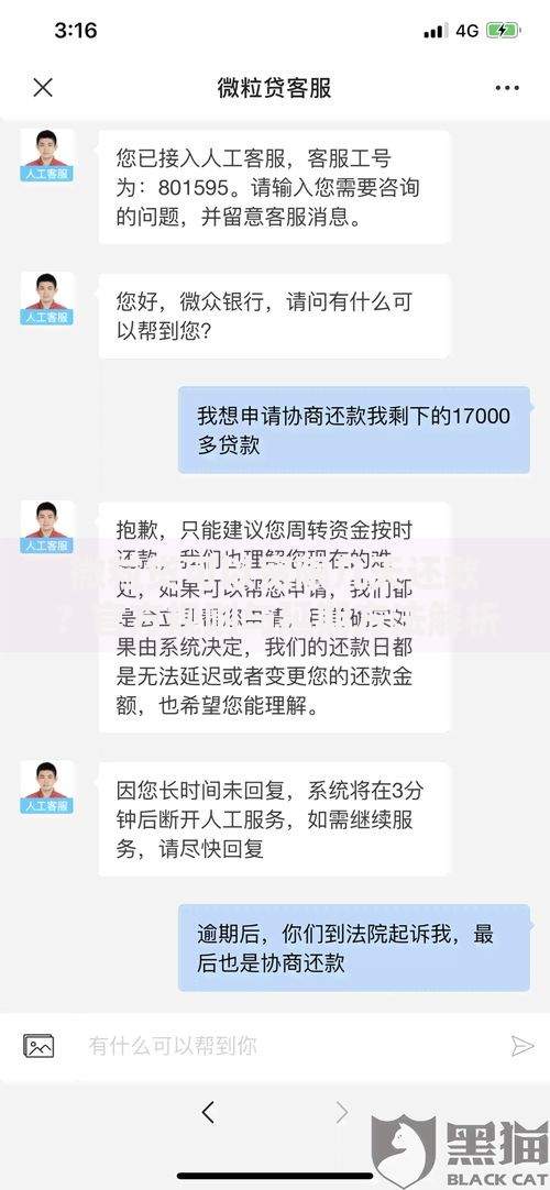 微粒贷可以宽限几天还款？官方规则与延期方法解析