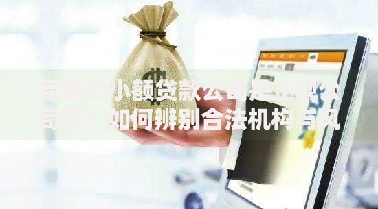 昆明的小额贷款公司是正规公司吗？如何辨别合法机构与风险平台