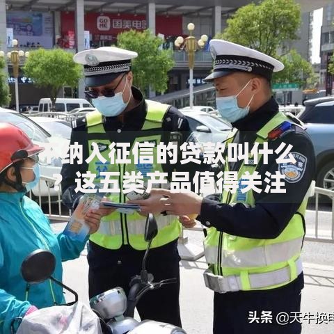 不纳入征信的贷款叫什么？这五类产品值得关注