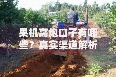 果机高炮口子有哪些？真实渠道解析与风险警示