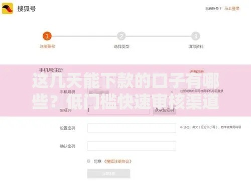 这几天能下款的口子有哪些？低门槛快速审核渠道解析