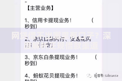 网贷借不出哪里有口子？深度解析正规借款渠道