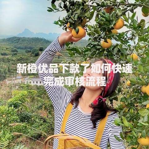 新橙优品下款了如何快速完成审核流程