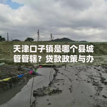 天津口子镇是哪个县城管管辖？贷款政策与办理流程详解