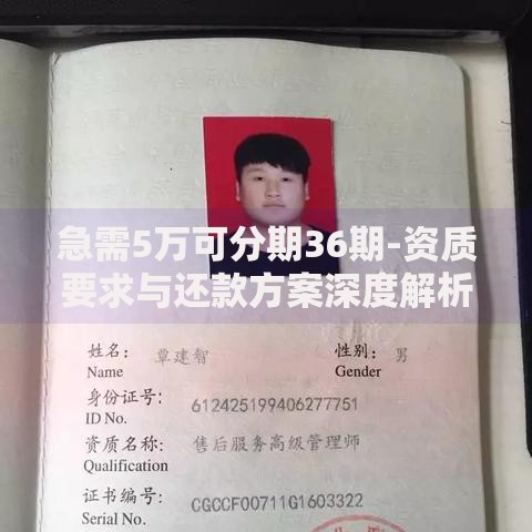 急需5万可分期36期-资质要求与还款方案深度解析